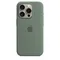 Чехол Silicone Case MagSafe для iPhone 15 Pro Max Кипарис Cypress