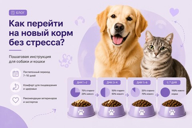Как перевести питомца на новый корм без стресса