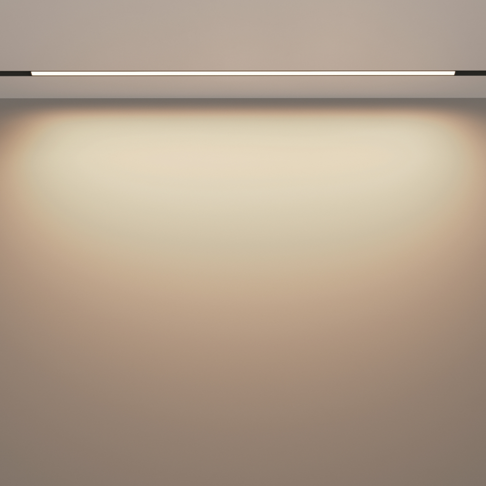 Магнитный трековый светильник Maytoni EXILITY 23мм Basis TR030-4-30WTW-DD2-B