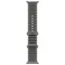 Умные часы Apple Watch Ultra 4 49 мм Natural Titanium Ocean Band Черный Translucent Black