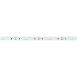 Лента RS-S120-8mm 24V Warm2700 (9.6 W/m, IP20, 3014, 5m) (Arlight, боковое свечение)