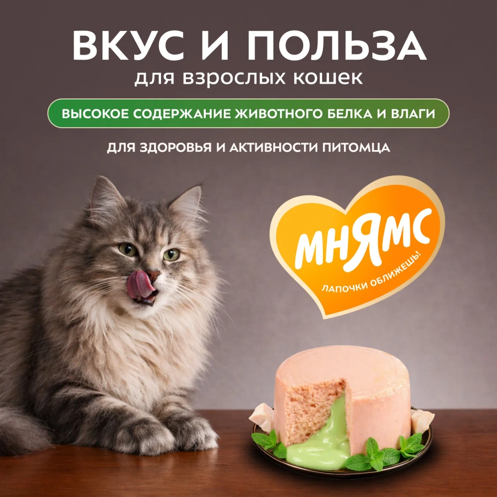 Влажный корм Мнямс Деликатес "Фондан" из мяса курицы с кошачьей мятой для кошек 6 шт по80 г