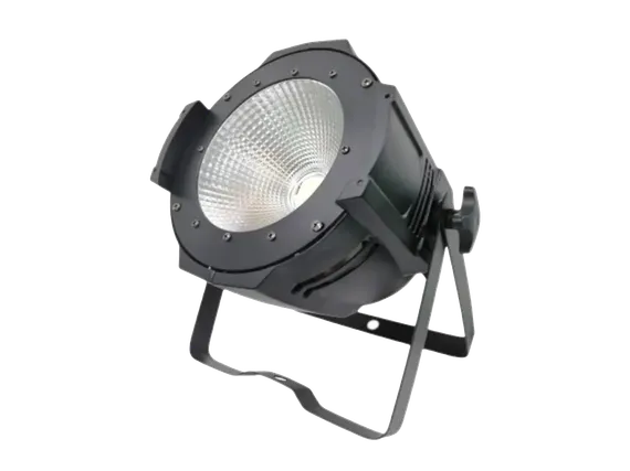 Bristage PAR100T