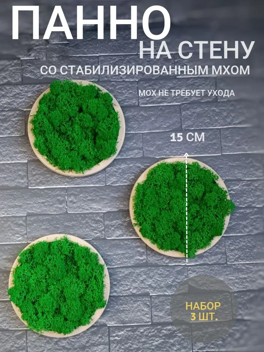Панно из мха набор набор 3 шт.