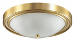 Накладной светильник Lumion Nina 5259/3C