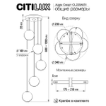 Подвесной светодиодный светильник Citilux Адам Смарт CL228A051