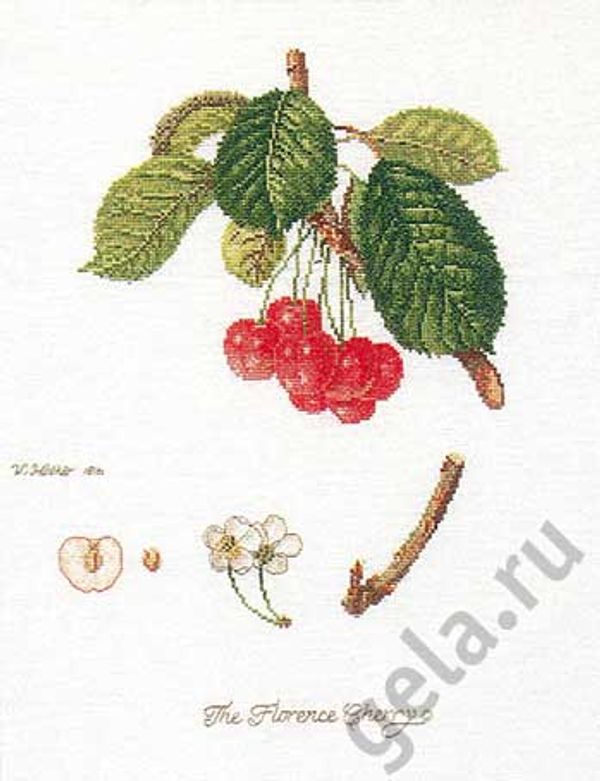 Набор для вышивания нитками Thea Gouverneur, Флоренция. Вишни, 26х35 см