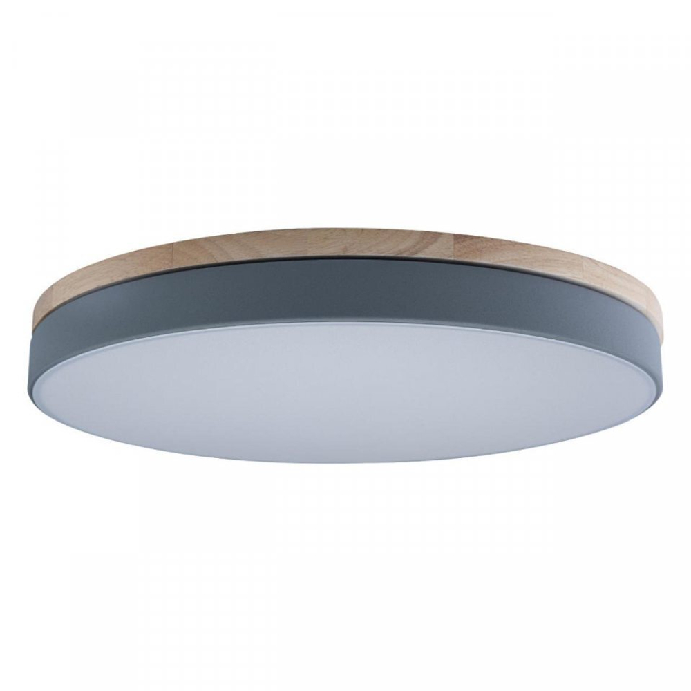 Потолочный светодиодный светильник Loft It Axel 10001/36 Grey