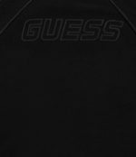 Худые GUESS ACTIVE - черный(L4GQ08 KBK32)