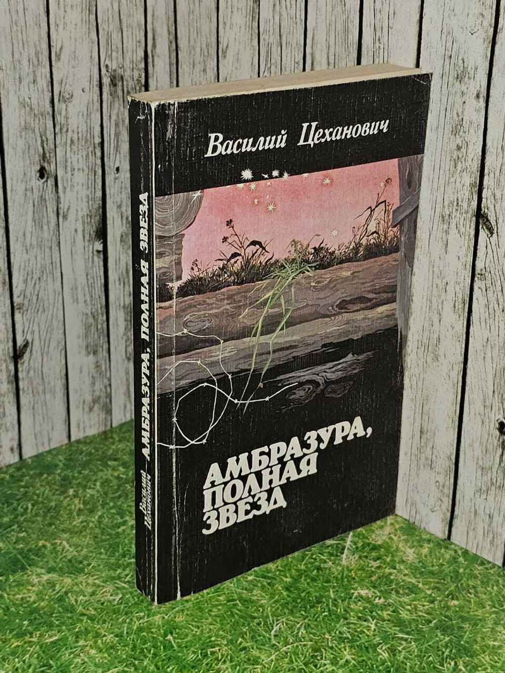 Амбразура, полная звезд. Цеханович Василий П.