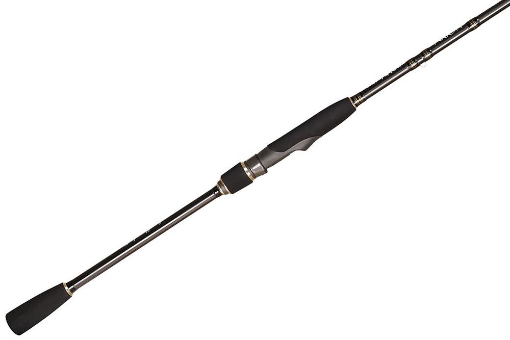 Спиннинг Arion ASRE862MT