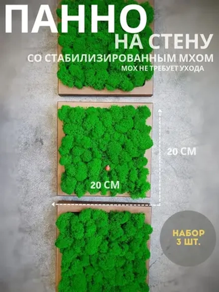 Панно из мха набор 3 шт.