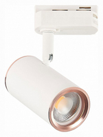 Светильник на штанге ST-Luce Cromi ST301.526.01