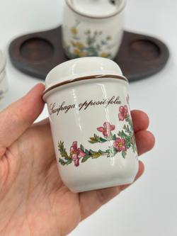Набор для специй Villeroy & Boch, Botanica