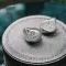 EarAcoustic SPA Limited Edition Silver Snake Collectors Version Silver