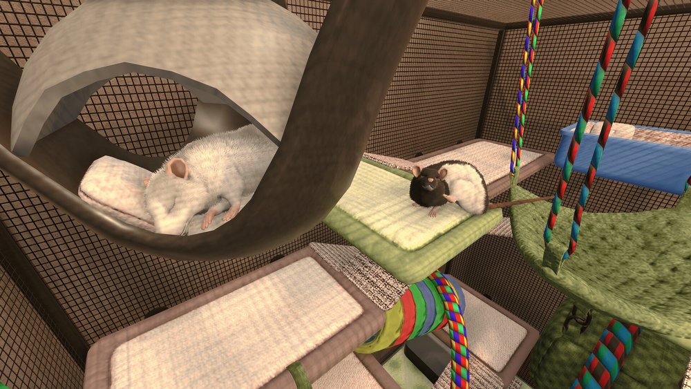 House Flipper Pets DLC (для ПК, цифровой код доступа)