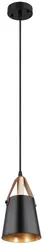 Подвесной светильник Thomas A7032SP-1BK Arte Lamp