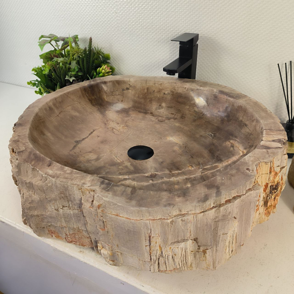 Раковина из окаменелого дерева OD-62427 63x54x16 из натурального камня