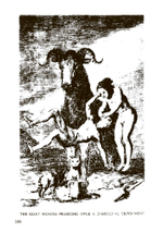 Magica Sexualis. Записки о любви, чёрной магии и тайных науках