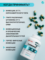 Неовирол(Neovirol), 60 капсул Комплекс усиленного противовирусного и антибактериального действия. Профилактика, комплексная терапия, выздоровление