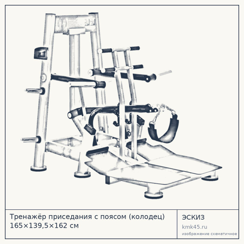 Тренажёр приседания с поясом (колодец) 165×139,5×162 см — от 216 000 ₽