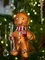 Набор ёлочных украшений ginger celebration коллекции new year essential