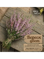 Вереск цвет для поделок,гербария и творчества