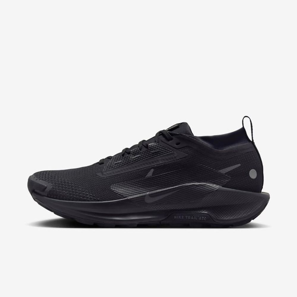 Кроссовки мужские NIKE Pegasus Trail 5 GORE-TEX