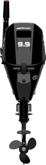 Лодочный мотор Mercury F9,9MH EFI