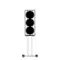 Perlisten Audio S5m Special Edition Cherry Hgh Goss