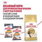 Royal Canin Siberian Adult Сибирская Эдалт Корм сухой для взрослых кошек сибирской породы от 1 года и старше 2кг