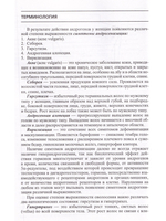 Гирсутизм. Пособие для врачей