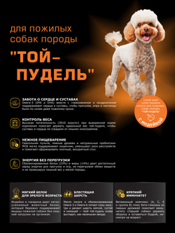 Корм сухой для пожилых собак породы Той-пудель старше 7 лет, с индейкой, 12 кг, QUATTRO