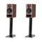 PMC Twenty5 21i Walnut