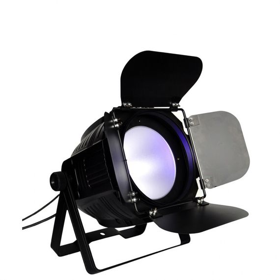 Прожектор Led Par COB 200 WW-CW