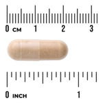 Swanson Vitamins, Почечные железы, 500 мг, 60 капсул
