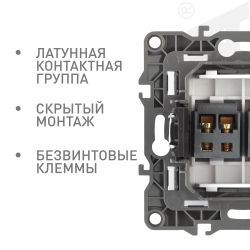 Розетка ЭРА Серия 12 12-3112-13 аудио двойная IP20 бронза | Эра 12