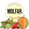 Molfar Virginia Line - Солнечная Дыня (100г)