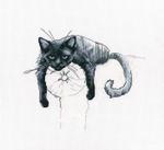 Коллекция:	Животные¶Название по-английски:	Among black cats¶Название по-русски:	Среди черных котов¶Р