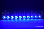 Cветовой прибор Amixled COBSTRIP 10x10
