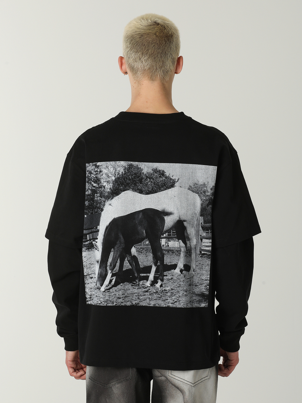 Мужской Лонгслив Horses Layered