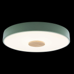 Потолочный светодиодный светильник Loft It Axel 10003/24 Green