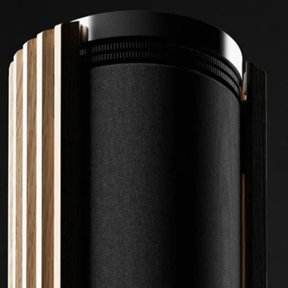 Bang &amp; Olufsen Beolab 28 with Gold Tone/Dark Oak