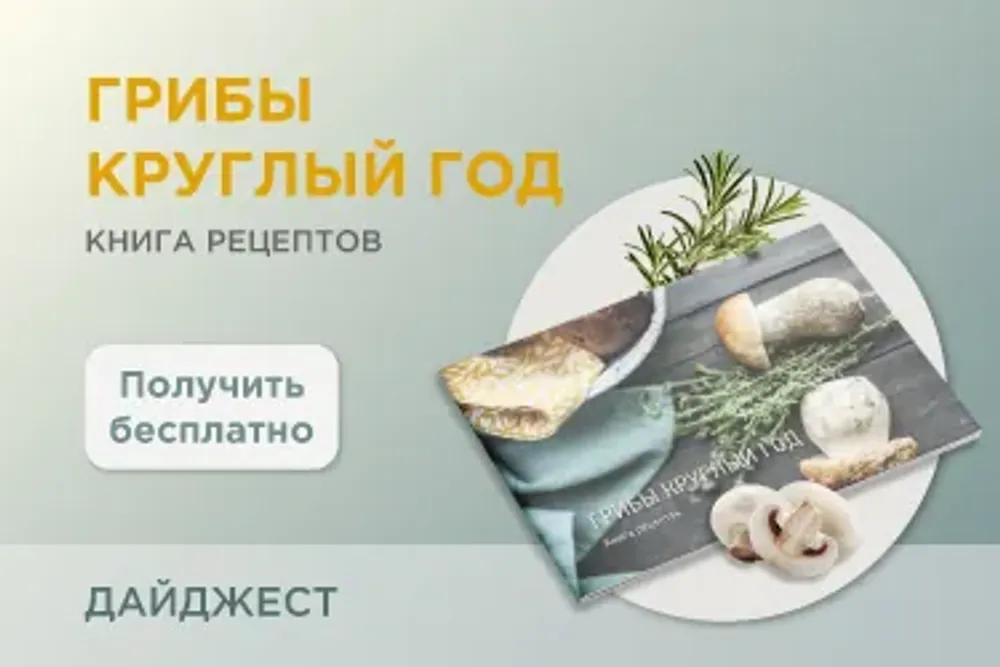 Грибы: дайджест статей