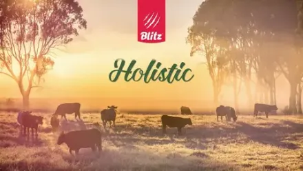 Blitz Holistic