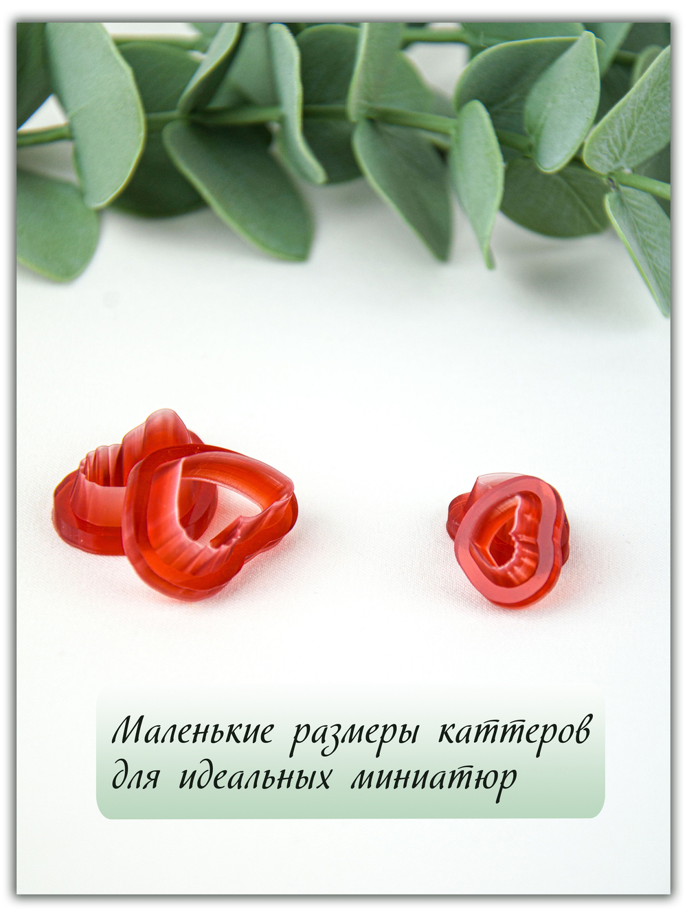 Бабочки № 1