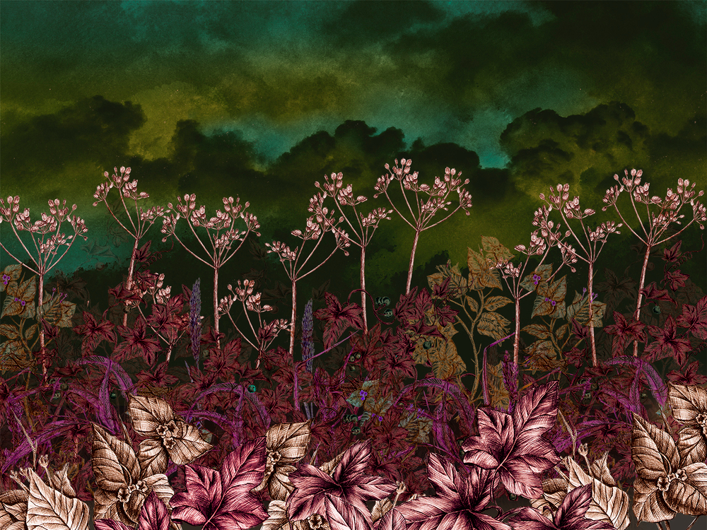 Коллекция BOTANICA