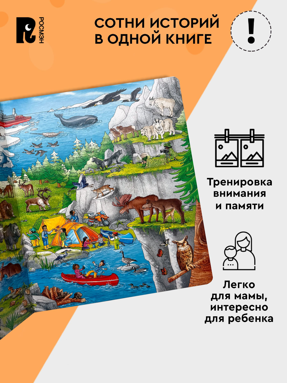 Жизнь животных. Виммельбух (нов.)