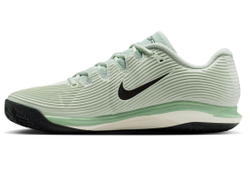 Теннисные кроссовки Nike Zoom Vapor 12 Clay - light silver/steam white/black