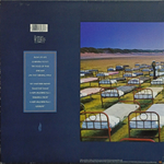 Pink Floyd / A Momentary Lapse Of Reason (LP)